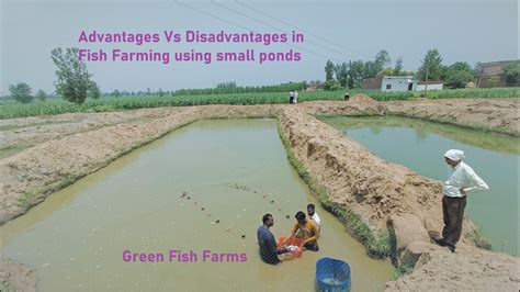 7 Small communities 19 4. . Wet ponds advantages and disadvantages